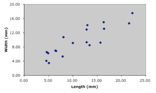 PalaeoMath 101 - Figure 1.1