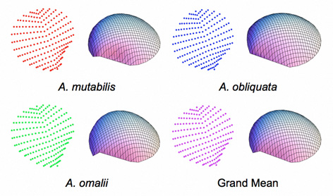 PalaeoMath 101 - Figure 29.4