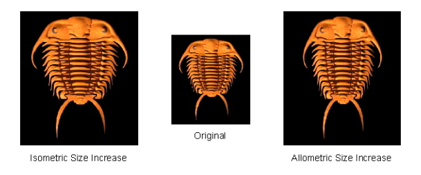 PalaeoMath 101 - Figure 5.6