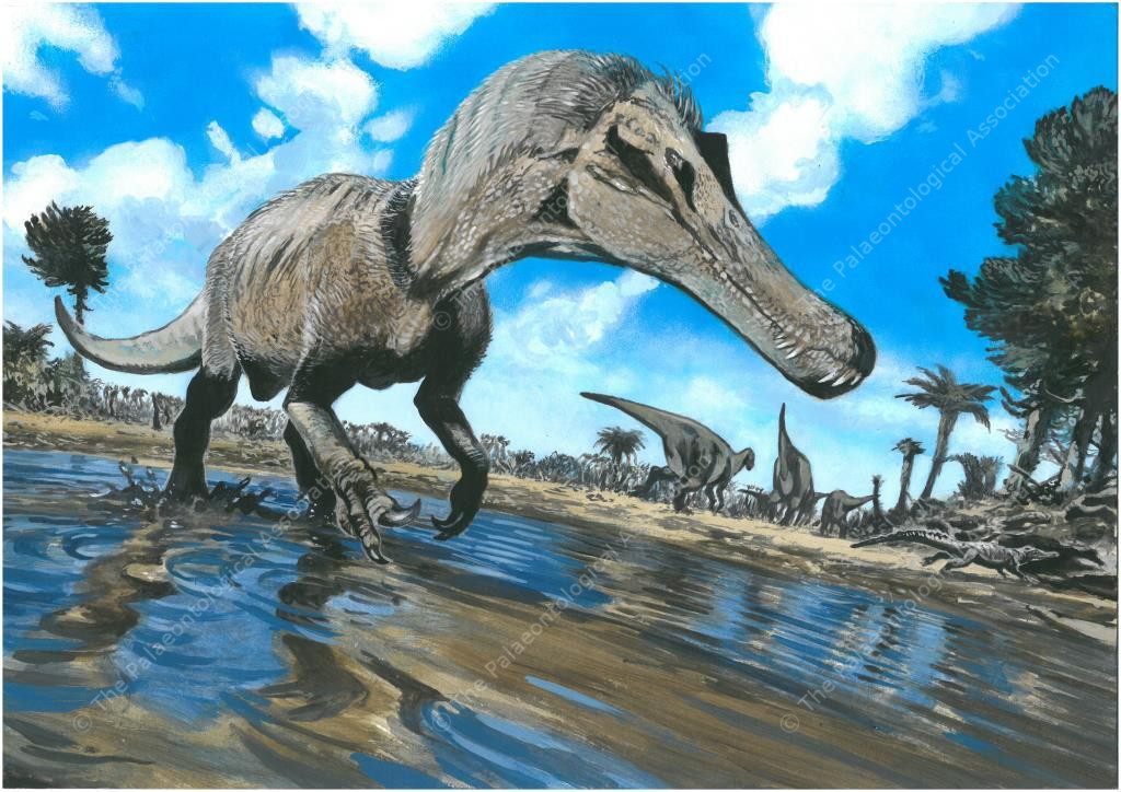 Postcard #4 - Cretaceous, Weald, southern England