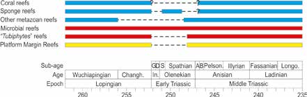 Range chart of reef ecosystems across the Permian/Triassic boundary